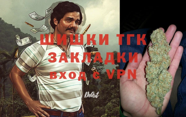 соль ск Алексин