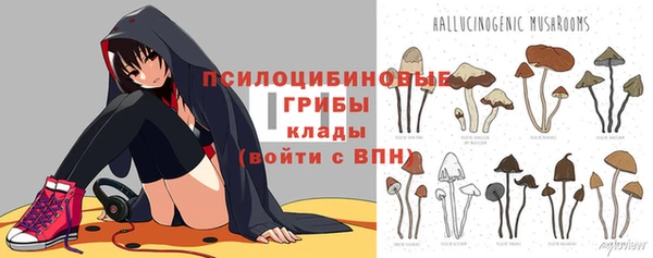 соль ск Алексин