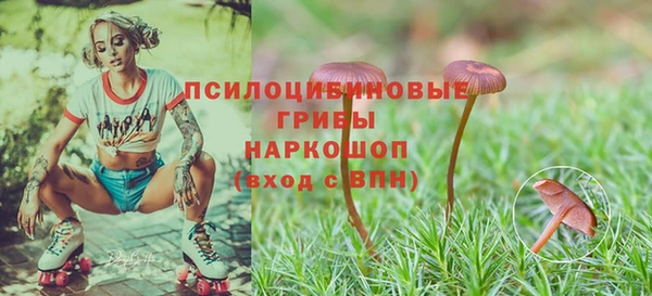 кристаллы Алзамай